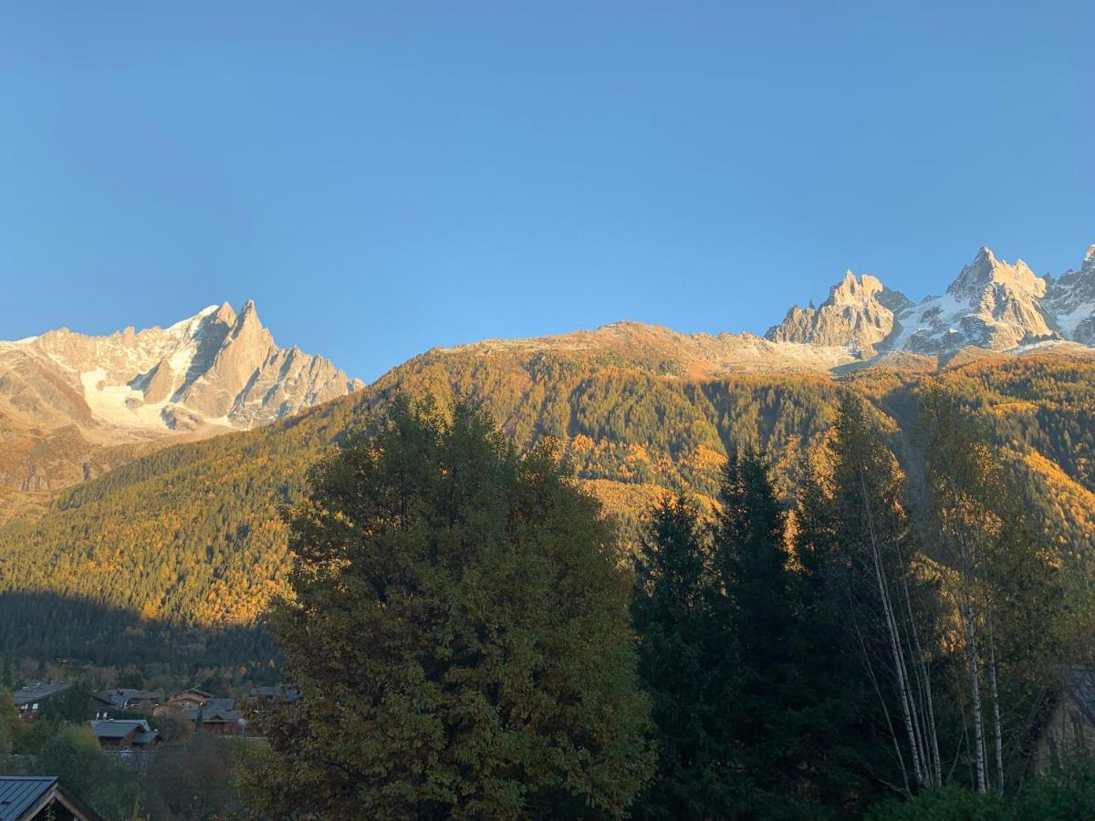 Le Point De Vue Chalé Chamonix