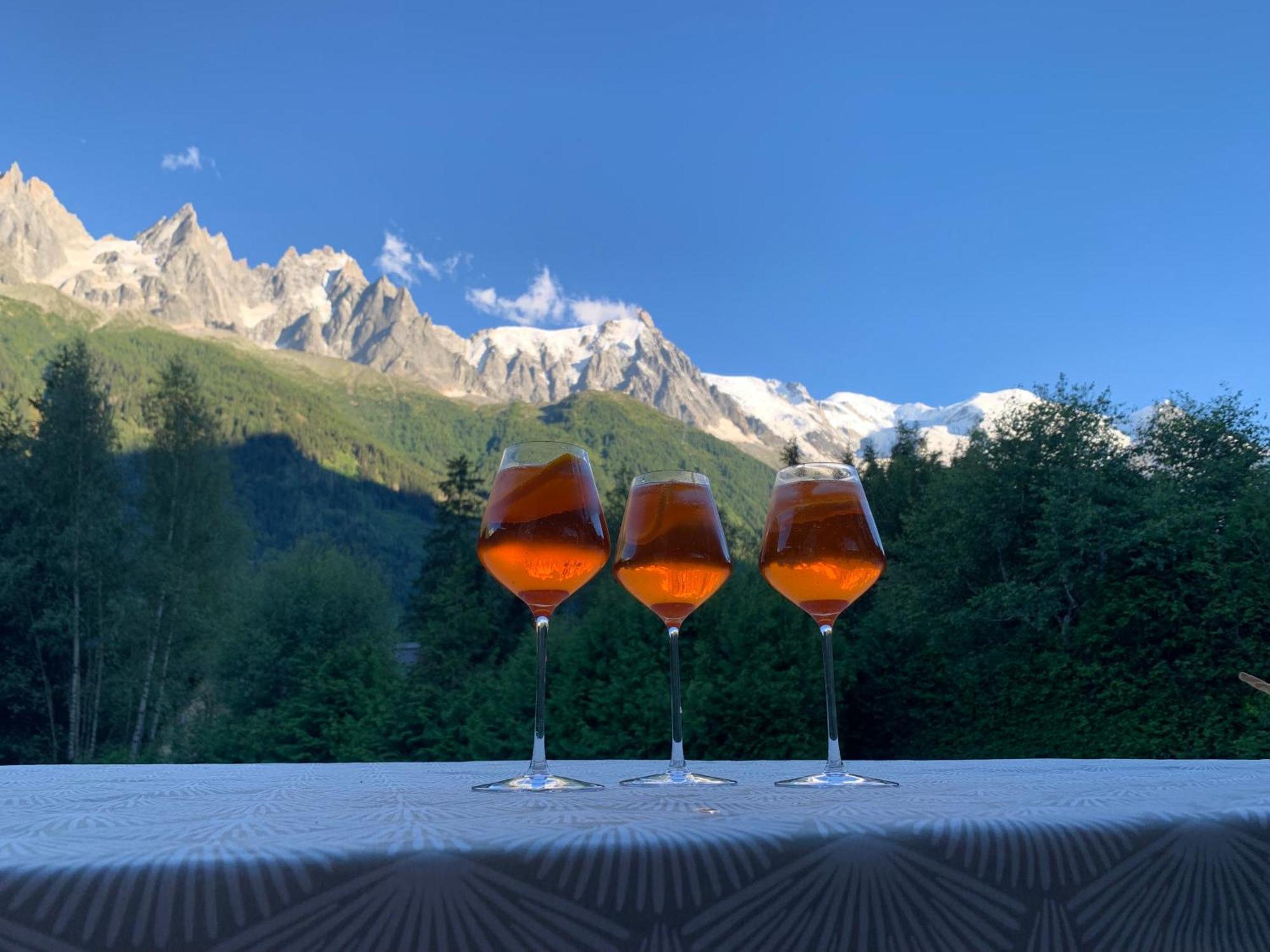 Chalé Le Point De Vue Chamonix